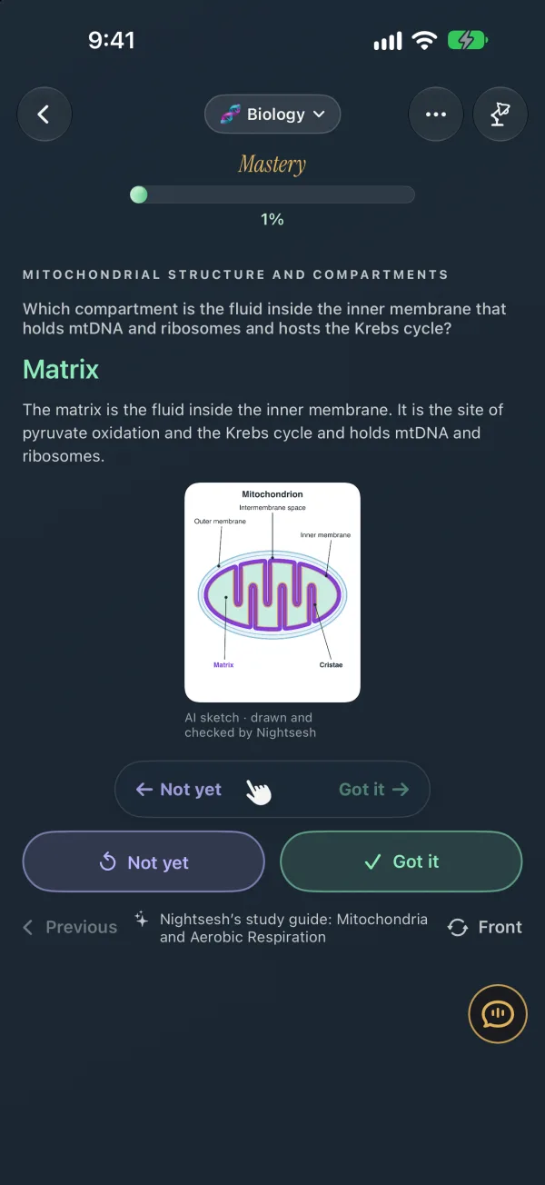 The back of the flash card, Night mode: Matrix. The matrix is the fluid inside the inner membrane, the site of pyruvate oxidation and the Krebs cycle, and it holds mtDNA and ribosomes. A labeled mitochondrion sketch, then Not yet and Got it.