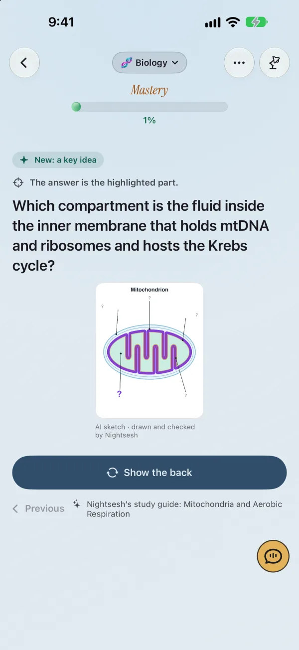 A Nightsesh flash card in Light mode: Which compartment is the fluid inside the inner membrane that holds mtDNA and ribosomes and hosts the Krebs cycle? A mitochondrion sketch drawn and checked by Nightsesh sits above Show the back.